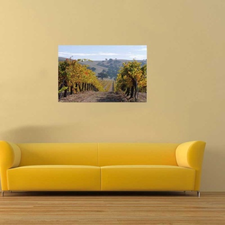 Tablou Canvas Vita de vie