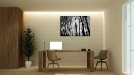 Aurora boreala - Tablou Canvas natura