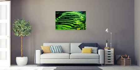 Tablou Canvas Agricultura Asia