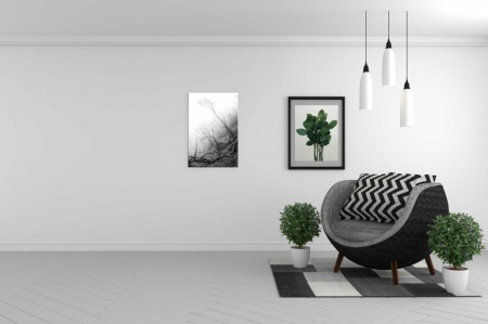 Tablou Canvas alb-negru padure mistica
