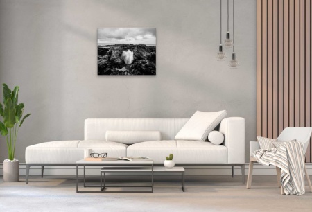 Tablou Canvas alb-negru valuri sparte in stanca