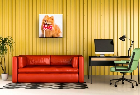 Tablou Canvas animale caine „la patru ace”
