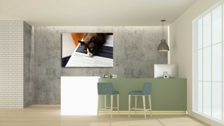Tablou Canvas animale pisica - semn de carte
