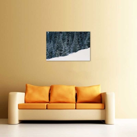 Tablou Canvas Brazi in Zapada