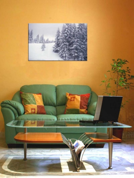 Tablou Canvas Brazi