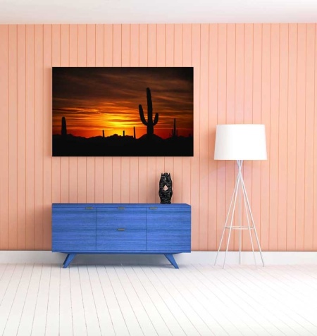 Tablou Canvas Cactus