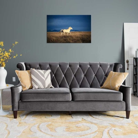 Tablou Canvas Cal Alb