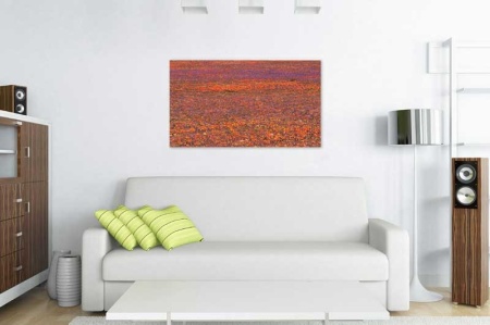 Tablou Canvas Camp cu flori