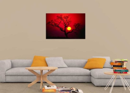 Tablou Canvas Cer Rosu