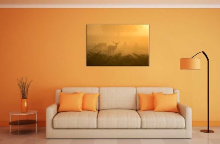 Tablou Canvas Cerbi