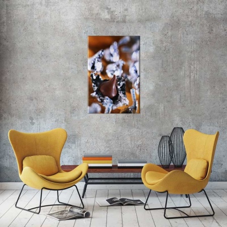 Tablou Canvas Ciocolata