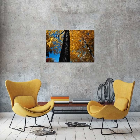 Tablou Canvas Copac cu Frunze Galbene