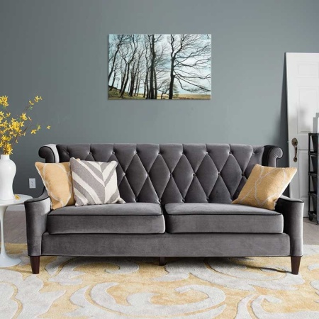 Tablou Canvas Copaci fara frunze