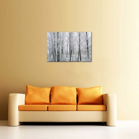 Tablou Canvas Copaci iarna