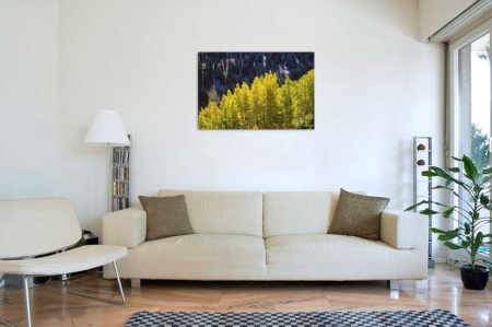 Tablou Canvas Copaci