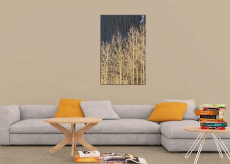 Tablou Canvas Copaci