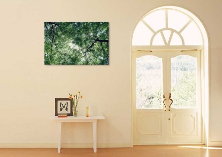 Tablou Canvas Copaci
