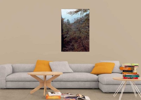 Tablou Canvas Copaci