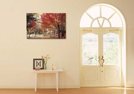 Tablou Canvas Copaci