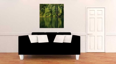 Tablou Canvas Copaci