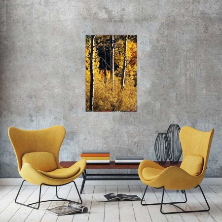 Tablou Canvas Copaci