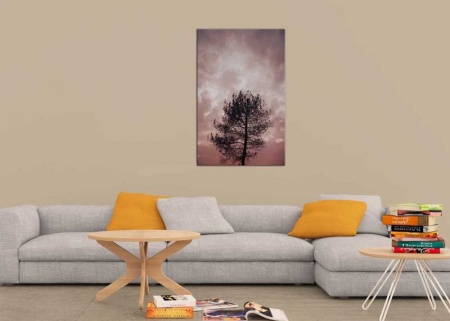 Tablou Canvas Copac