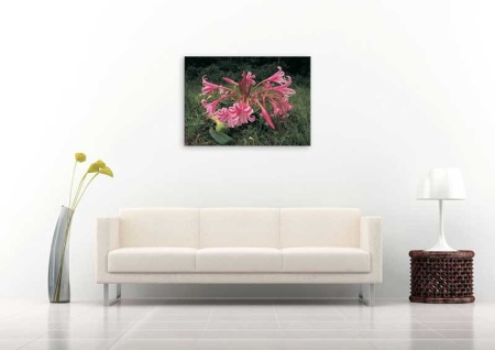 Tablou Canvas Crin