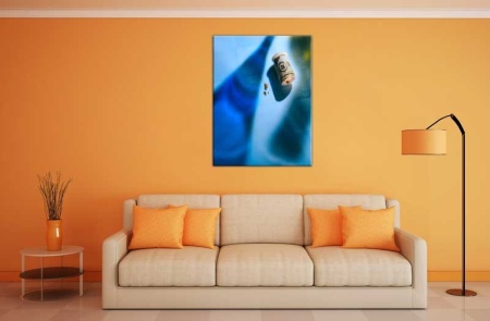 Tablou Canvas Dop de pluta