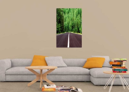 Tablou Canvas Drum prin padure