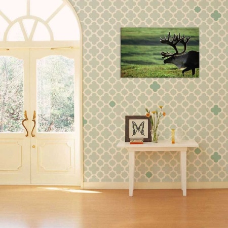 Tablou Canvas Elan pe camp