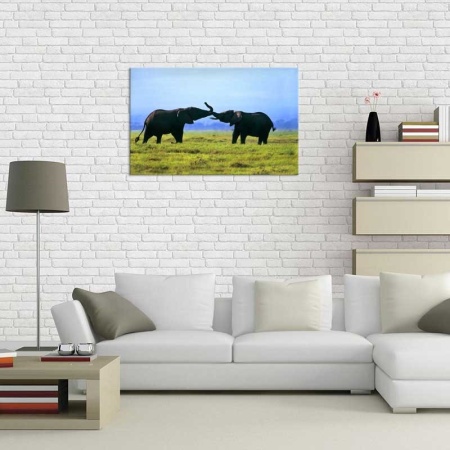 Tablou Canvas Elefanti pe Camp