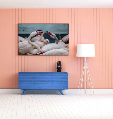 Tablou Canvas Flamingo