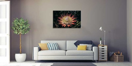 Tablou Canvas Floare Detaliu