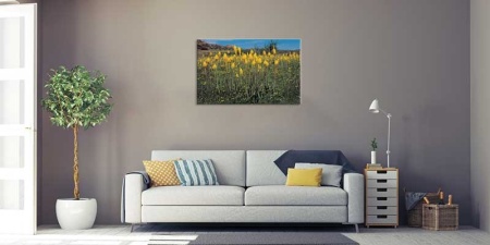 Tablou Canvas Floare Detaliu