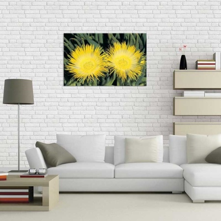 Tablou Canvas Floare Detaliu