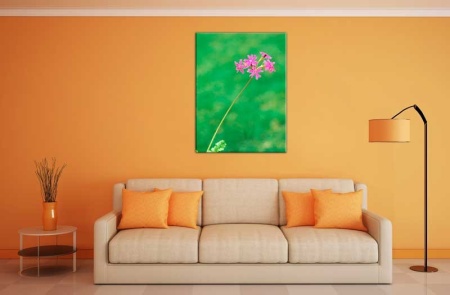 Tablou Canvas Floare