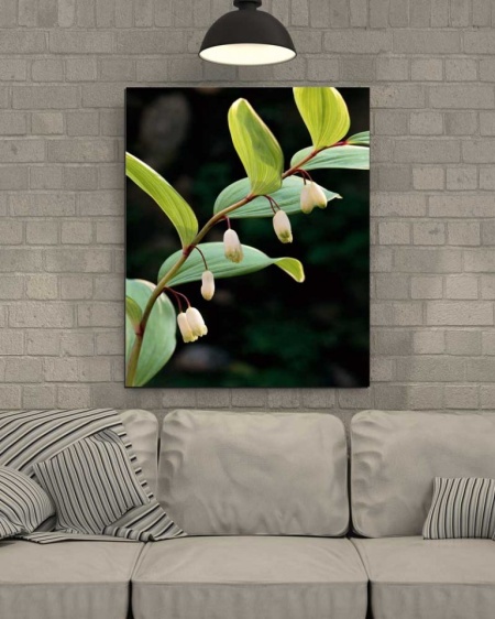 Tablou Canvas Floare
