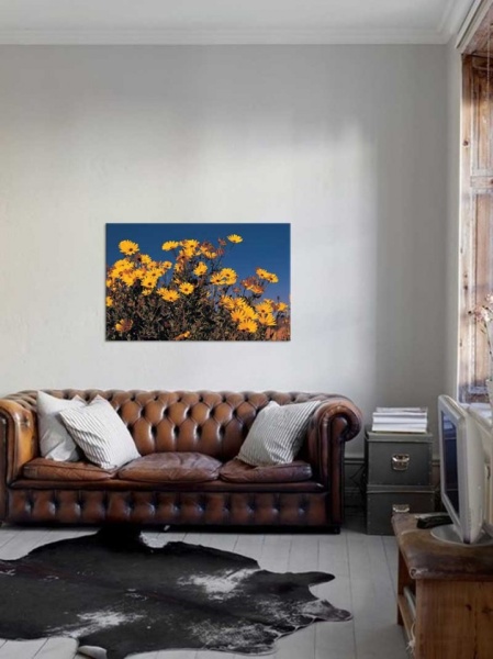 Tablou Canvas Flori de camp