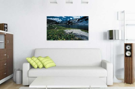 Tablou Canvas Floricele de munte