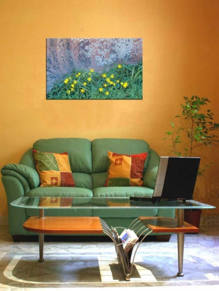 Tablou Canvas Floricele