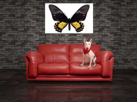 Tablou Canvas Fluturas