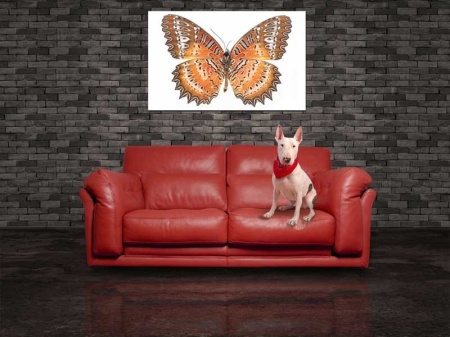 Tablou Canvas Fluturas