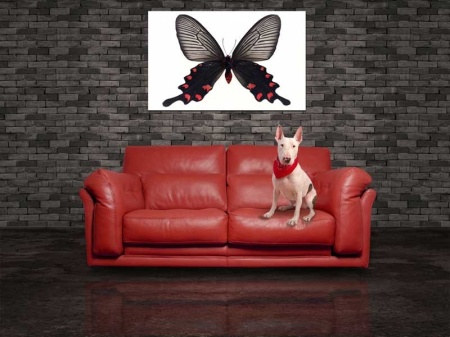 Tablou Canvas Fluturas