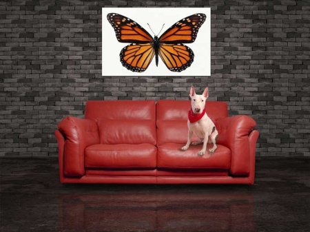 Tablou Canvas Fluturas