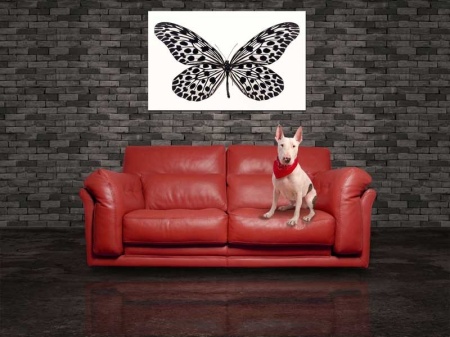 Tablou Canvas Fluturas