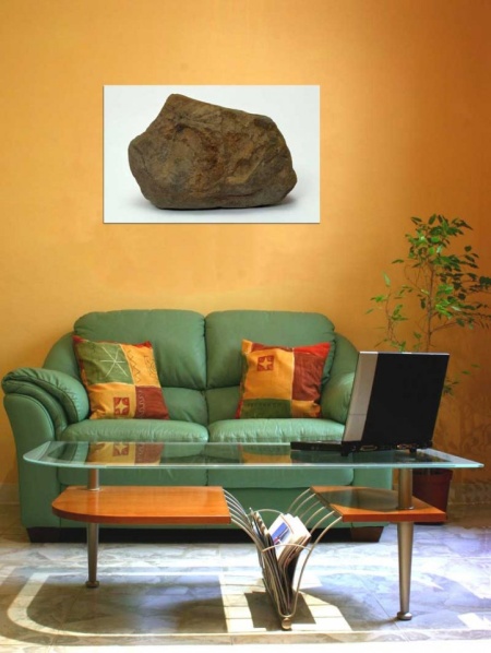 Tablou Canvas Fosila