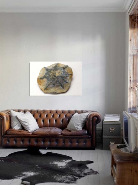 Tablou Canvas Fosila