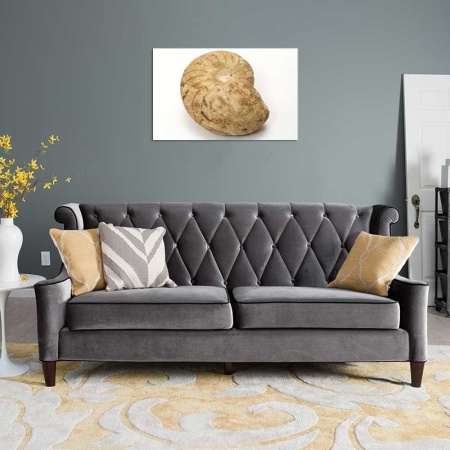 Tablou Canvas Fosila