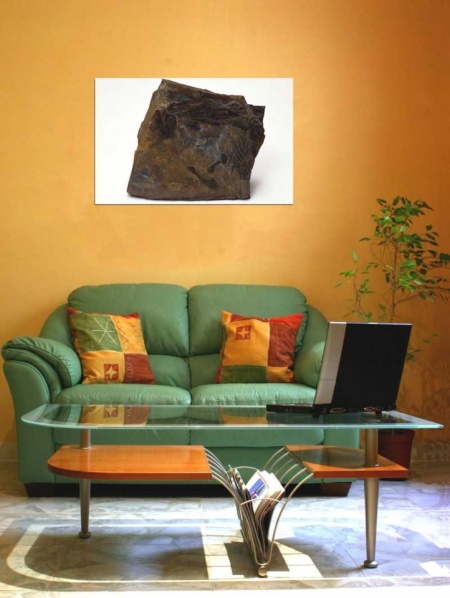 Tablou Canvas Fosila