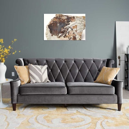 Tablou Canvas Fosila